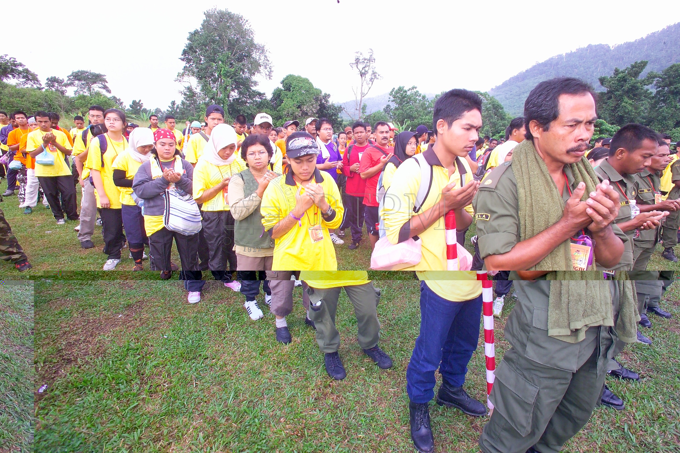 PTPM 06 31 kilau D9X44129